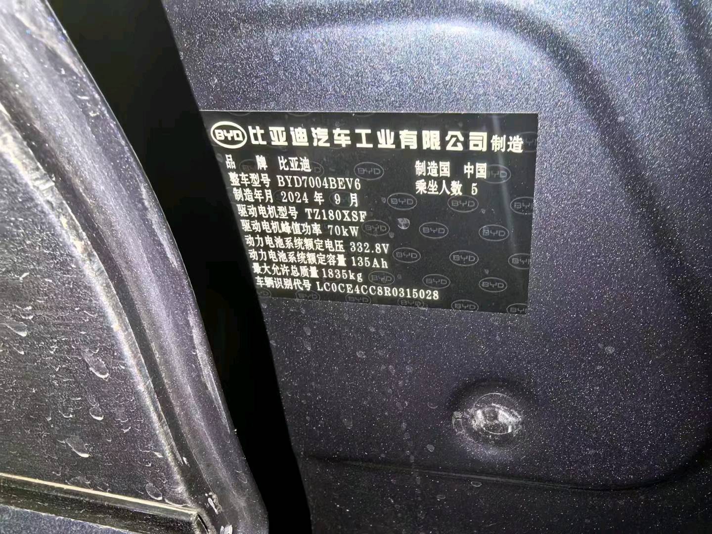 南京市24年比亚迪海豚9