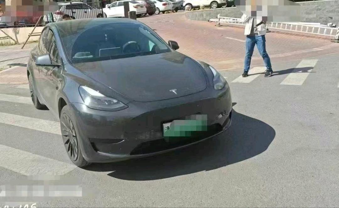 廊坊市24年特斯拉MODEL Y