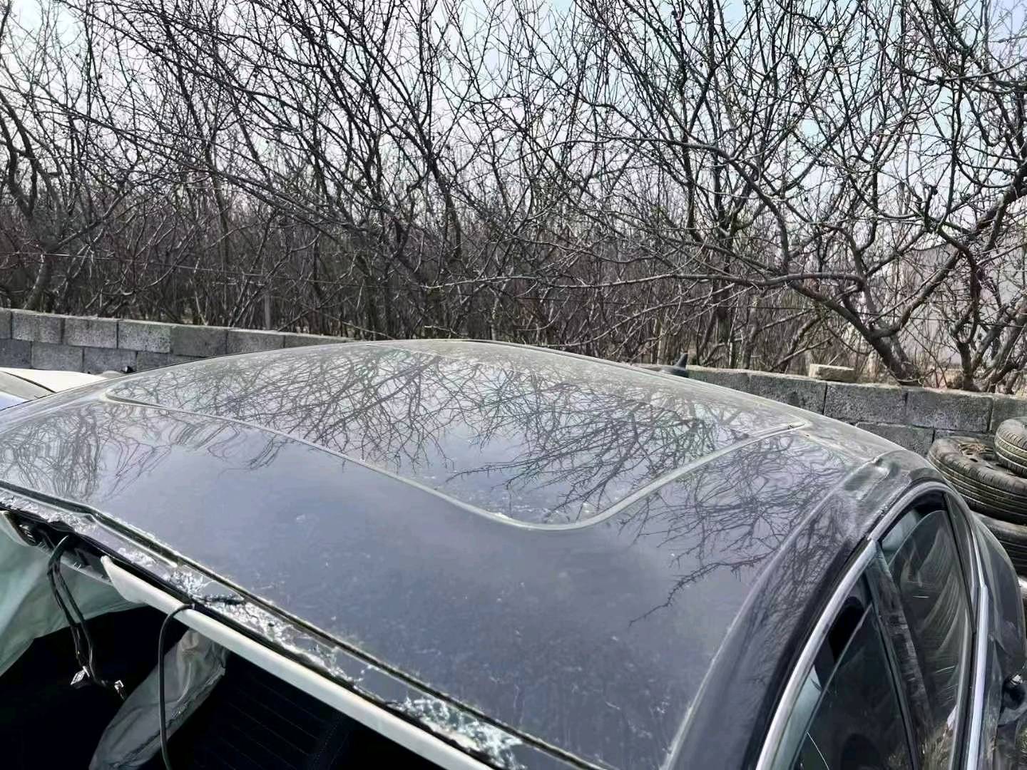 长春市22年大众迈腾8