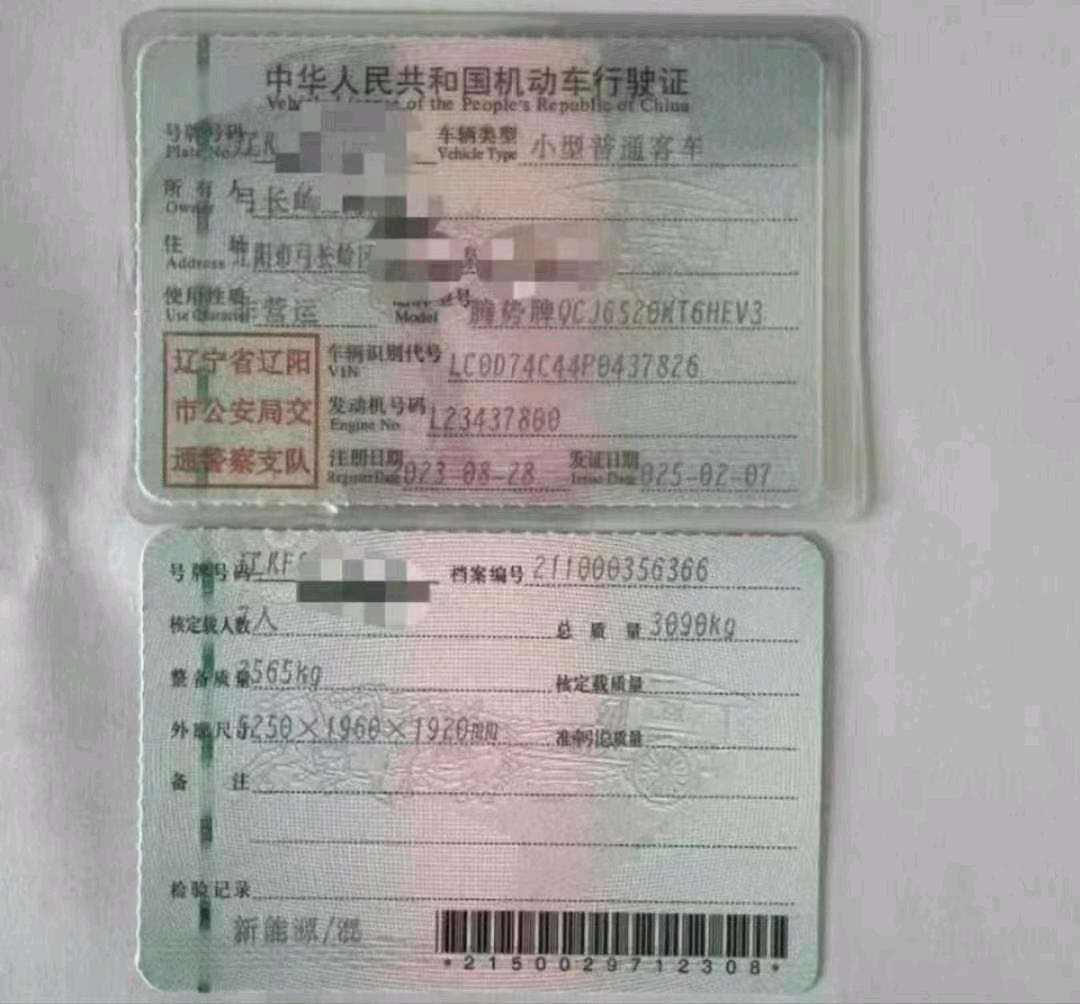 沈阳市23年腾势腾势9