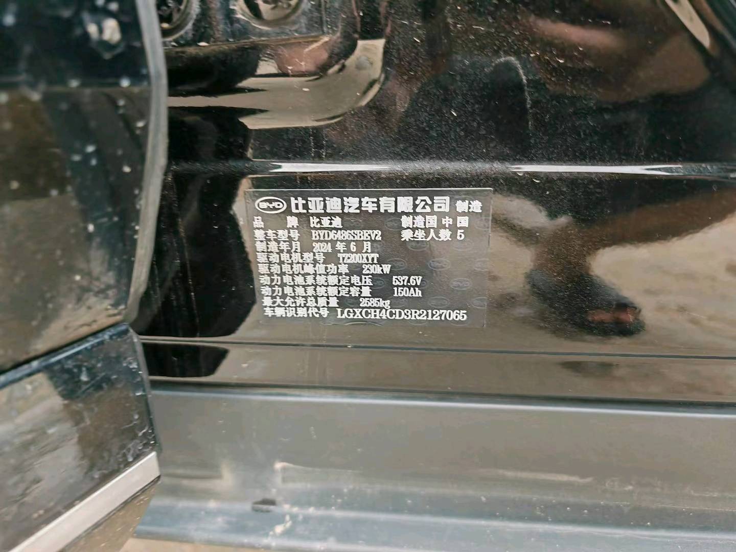 广州市24年比亚迪海狮9