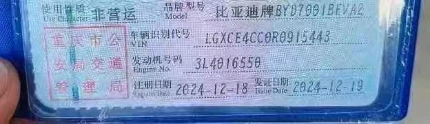 重庆24年比亚迪海鸥6