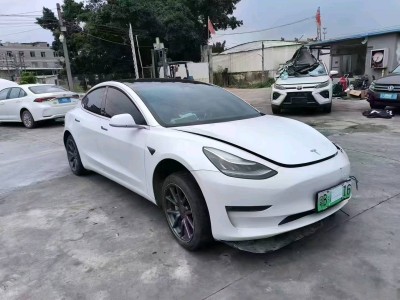 广州市19年特斯拉MODEL 3