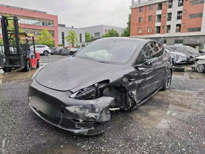 东莞市24年特斯拉MODEL Y