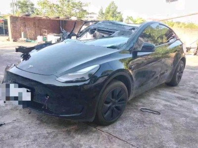 吉安市24年特斯拉MODEL Y