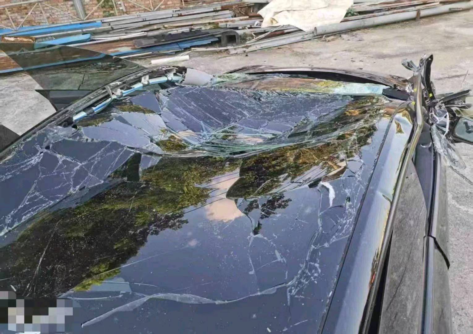 吉安市24年特斯拉MODEL Y5