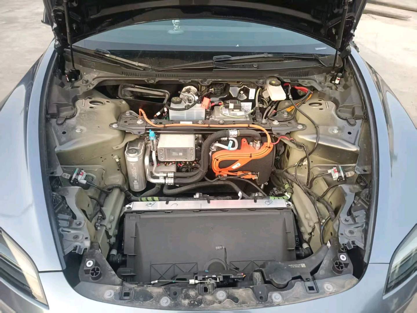 上海24年特斯拉MODEL 37