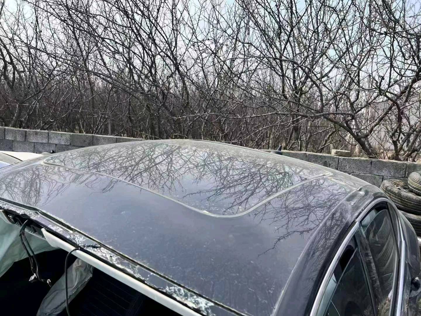长春市22年大众迈腾8