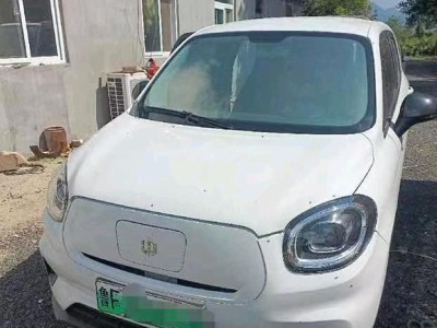 烟台市22年零跑汽车T03