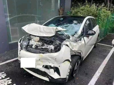 南宁市23年比亚迪海豚