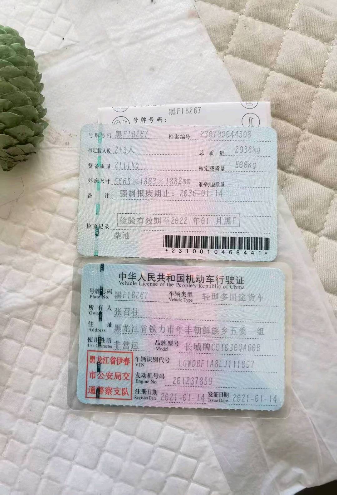 哈尔滨市21年长城炮10