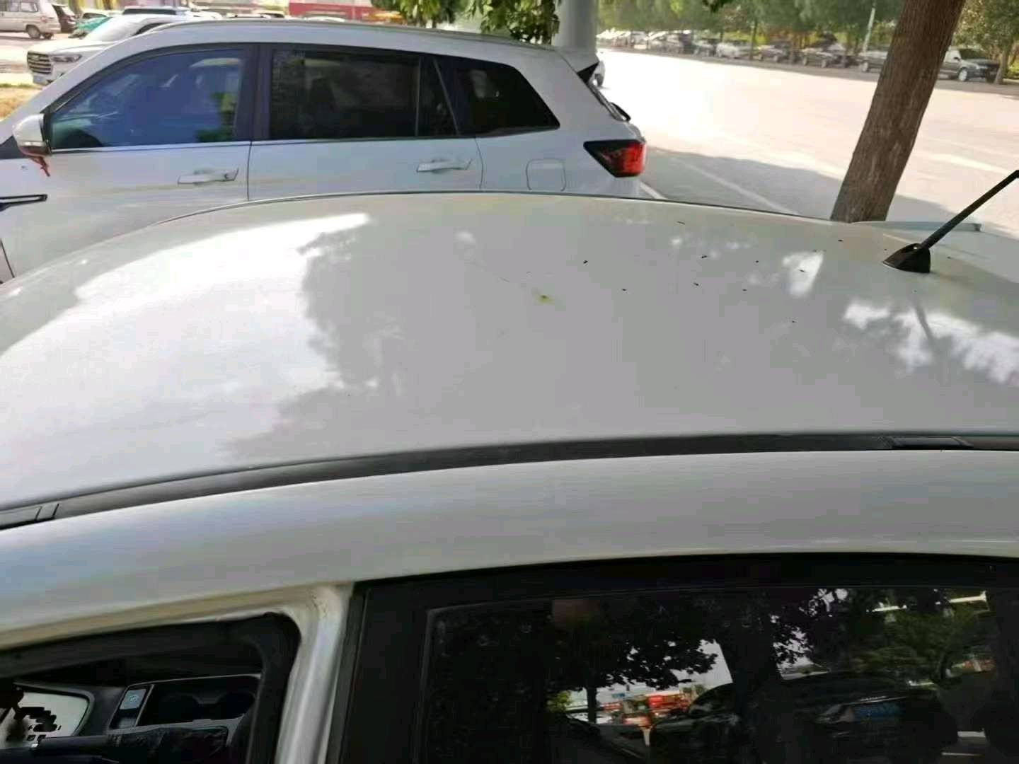 沧州市09年斯巴鲁翼豹3