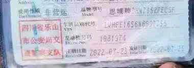 乐山市22年本田思域6