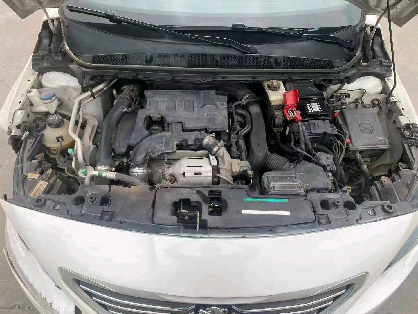 山东17年标致4088