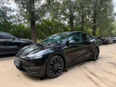 北京23年特斯拉MODEL Y