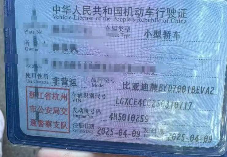 嘉兴市25年比亚迪海鸥7