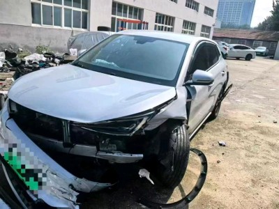 山东24年比亚迪元