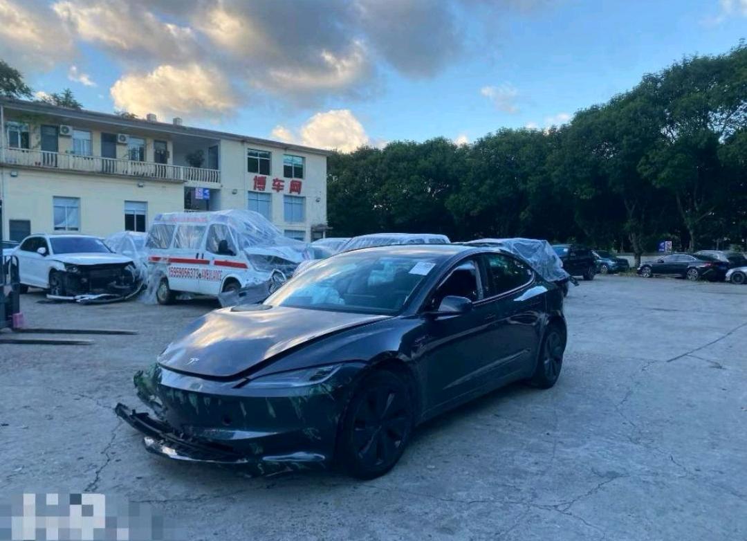 福建24年特斯拉MODEL 33