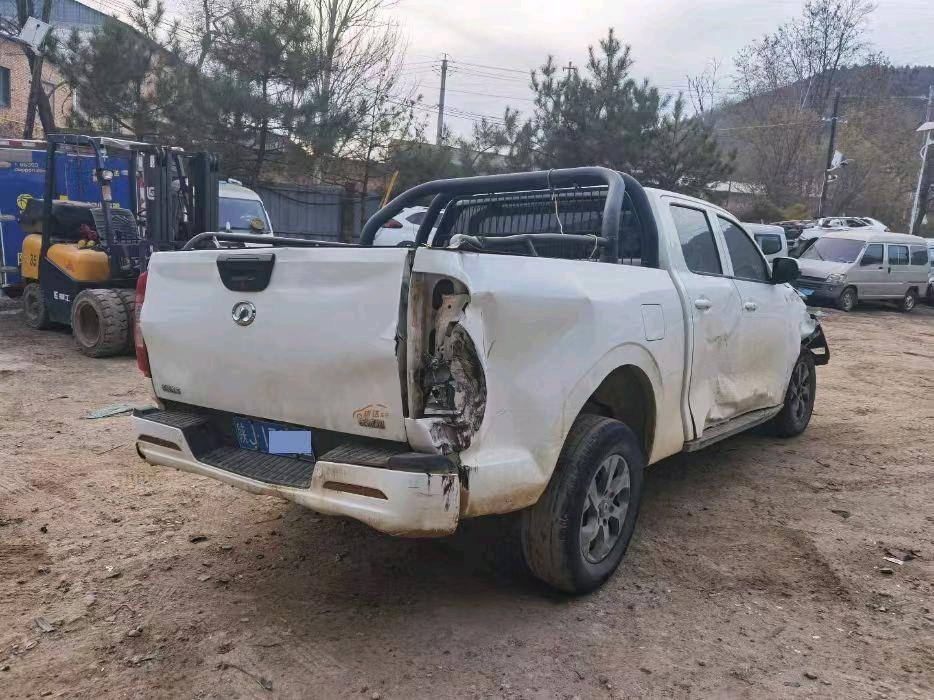 延安市23年长城炮4