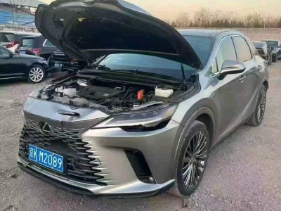 北京24年雷克萨斯RX