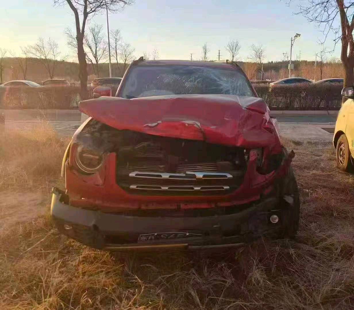 鄂尔多斯市20年哈弗大狗