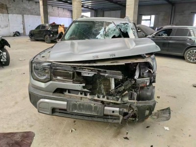 沈阳市25年北京BJ30