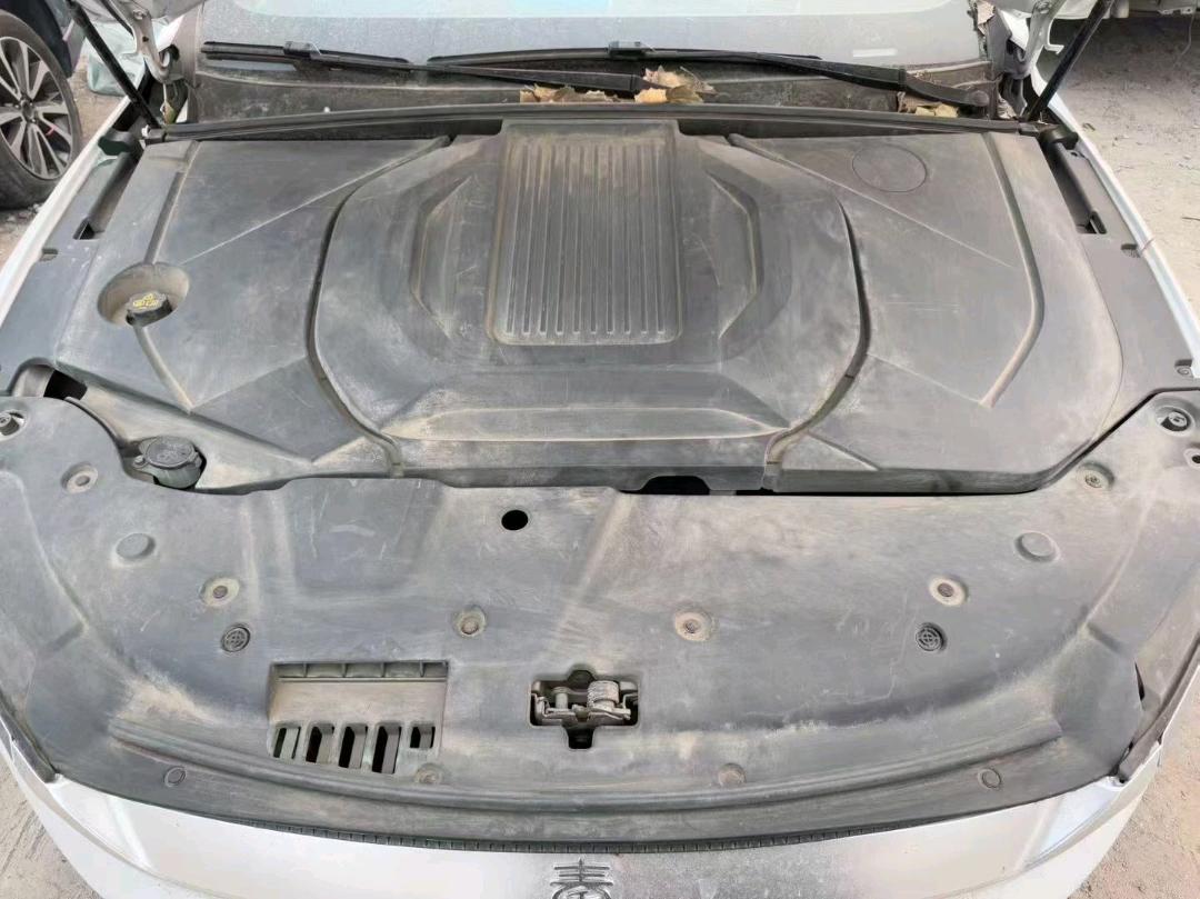 哈尔滨市23年比亚迪秦PLUS9