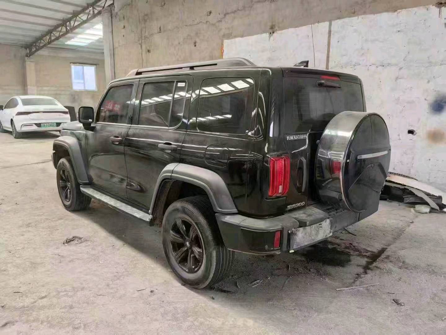 沈阳市23年长城坦克4