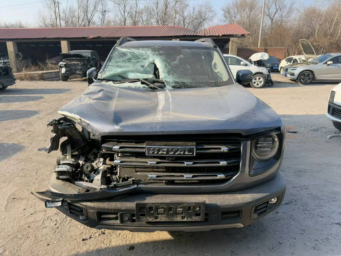 哈尔滨市23年哈弗大狗