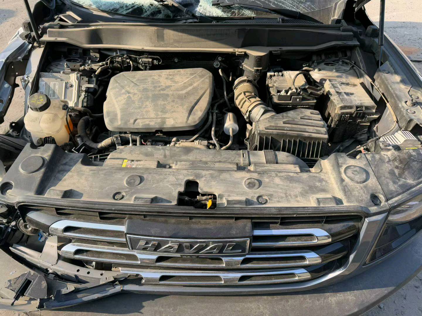 哈尔滨市23年哈弗大狗8