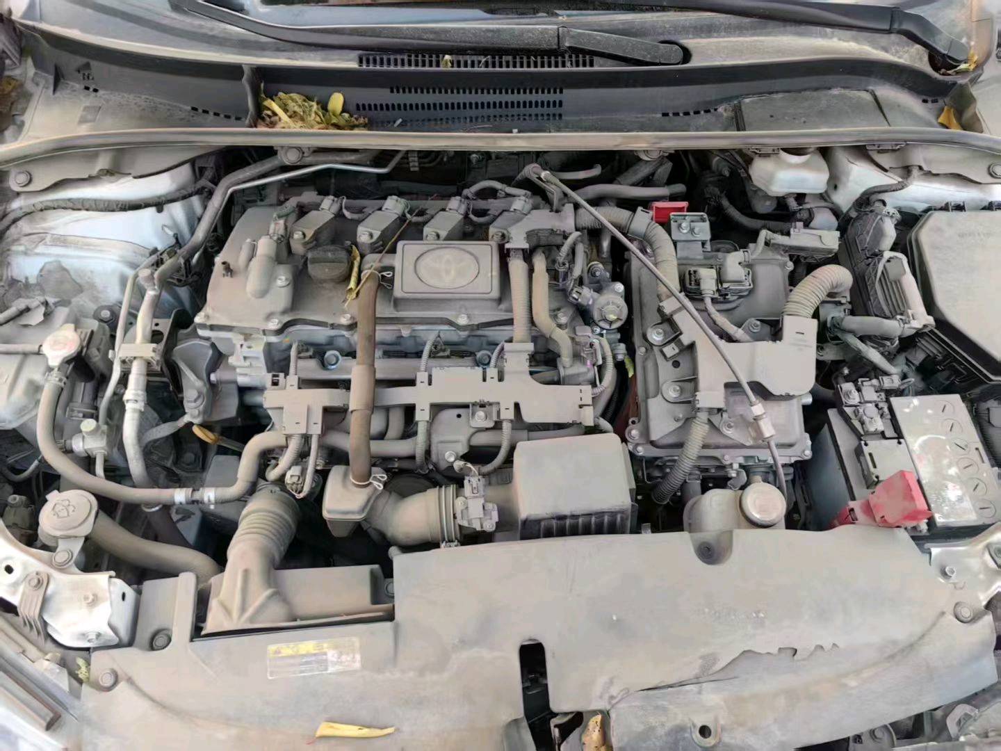 沈阳市24年丰田雷凌9