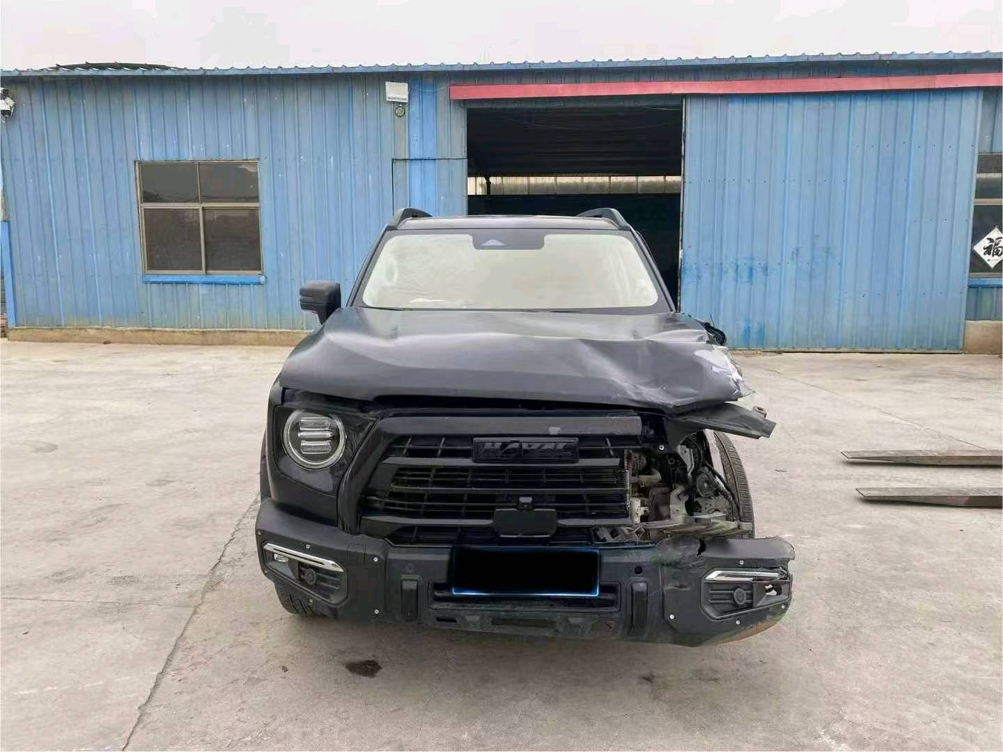 山东22年哈弗大狗