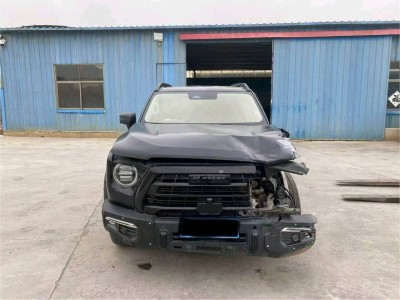 山东22年哈弗大狗