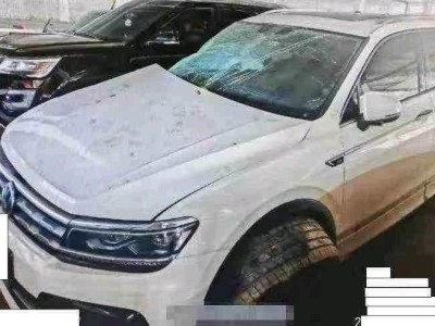 保定市20年大众途观L