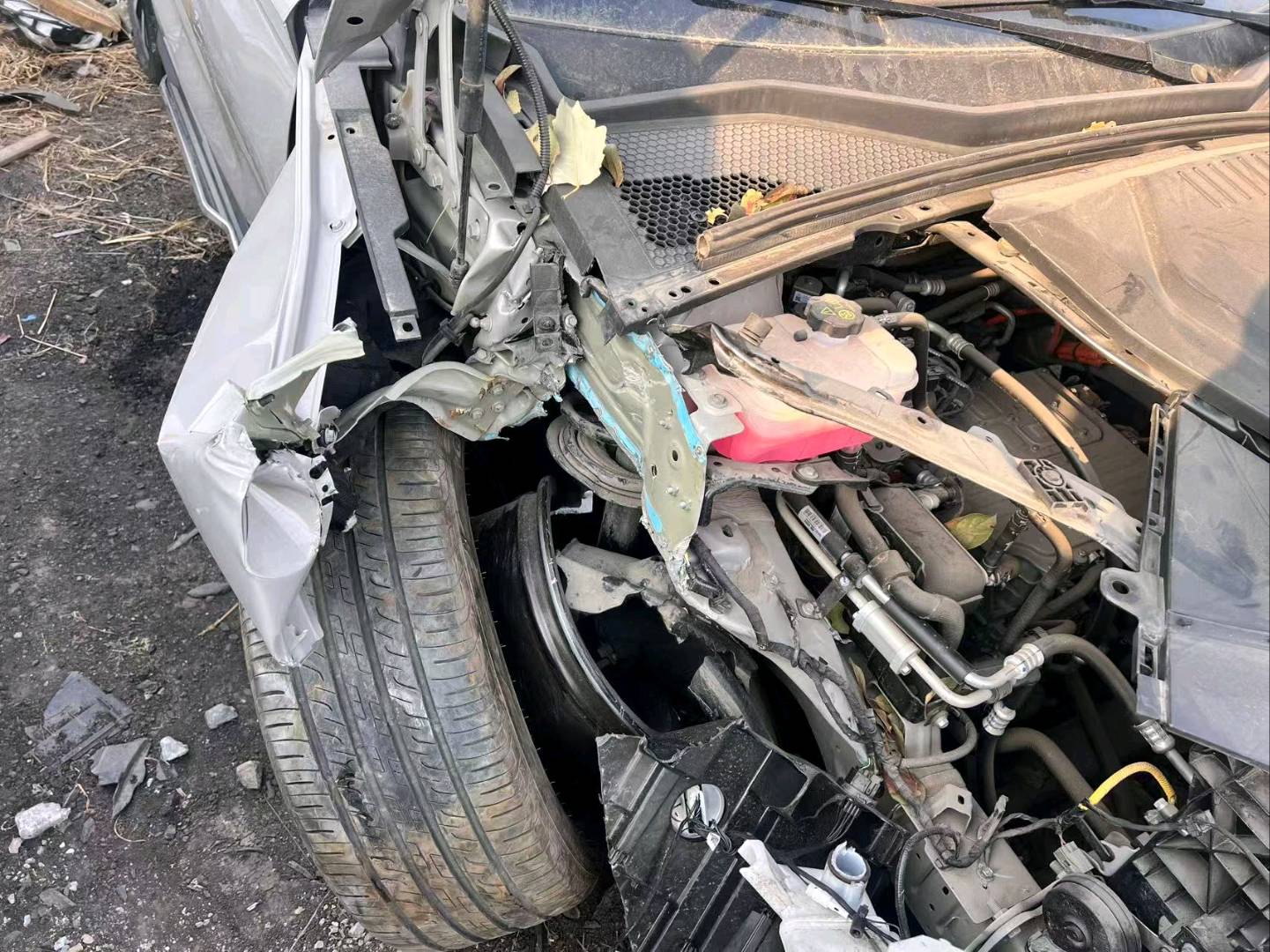 长春市24年比亚迪宋plus5