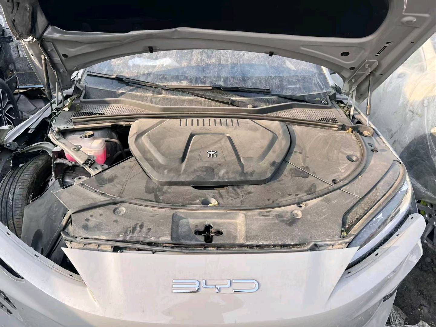 长春市24年比亚迪宋plus6