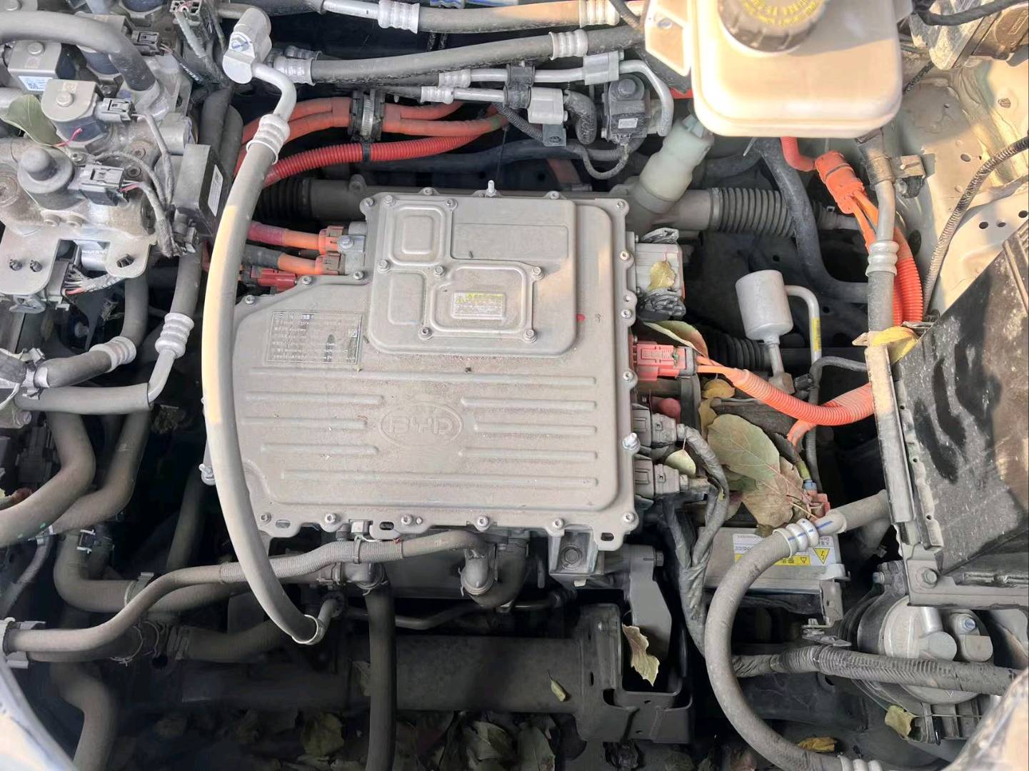 长春市24年比亚迪宋plus7