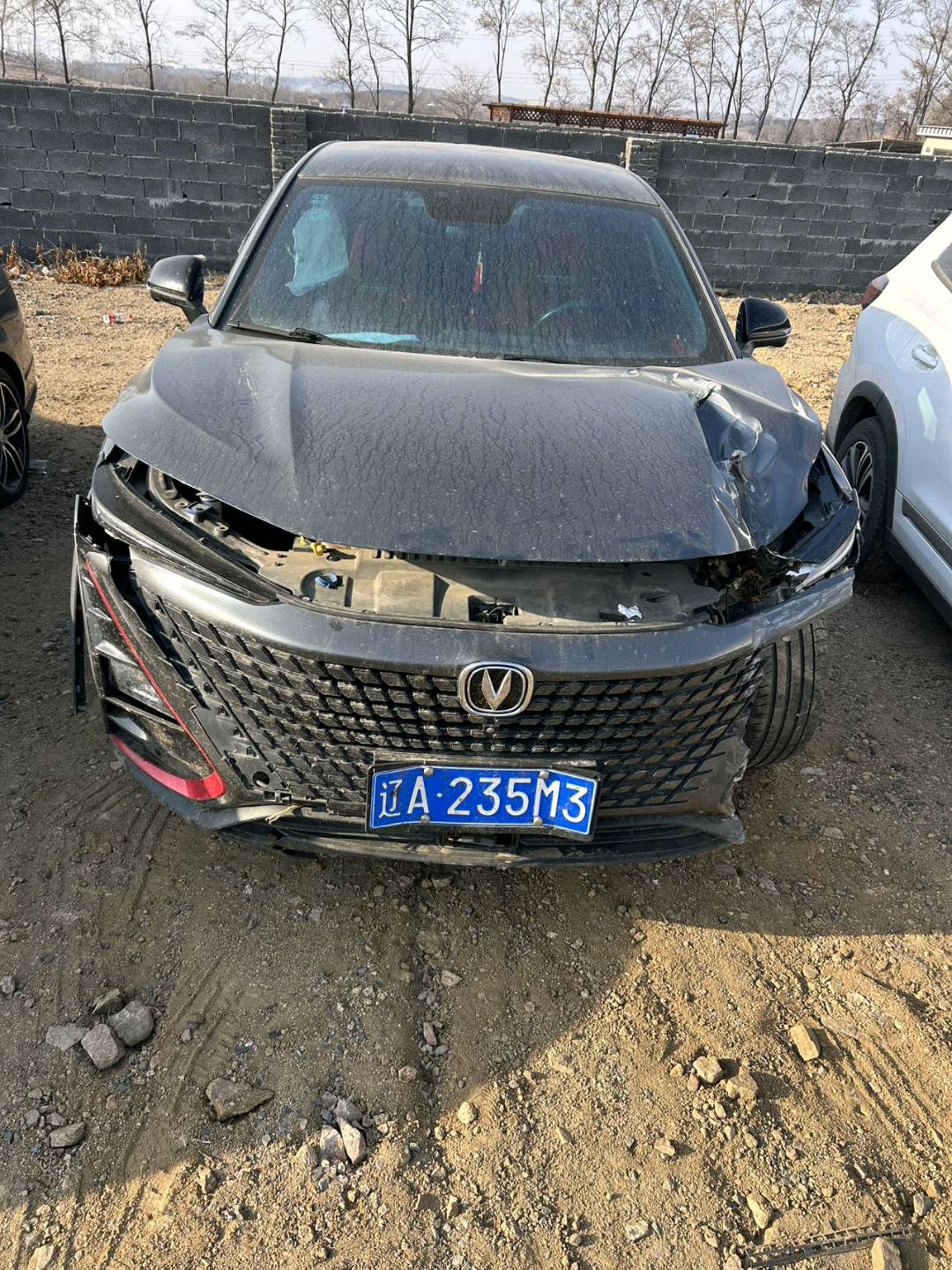 沈阳市20年长安汽车UNI