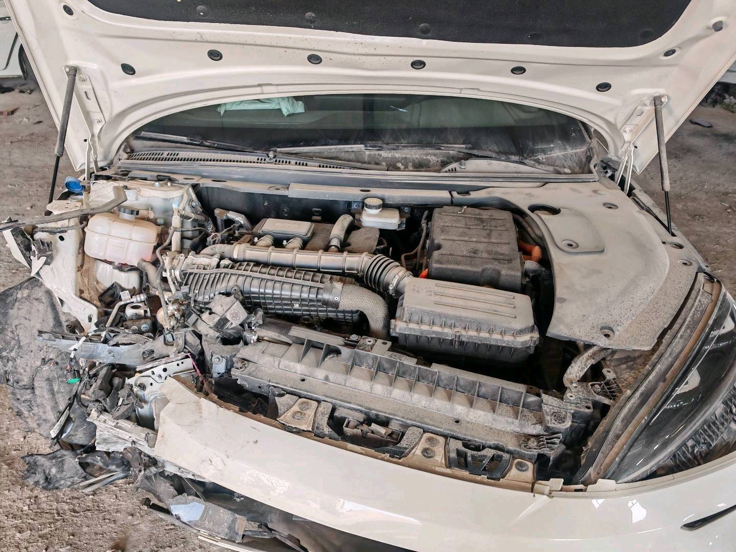 沈阳市24年比亚迪海豹6