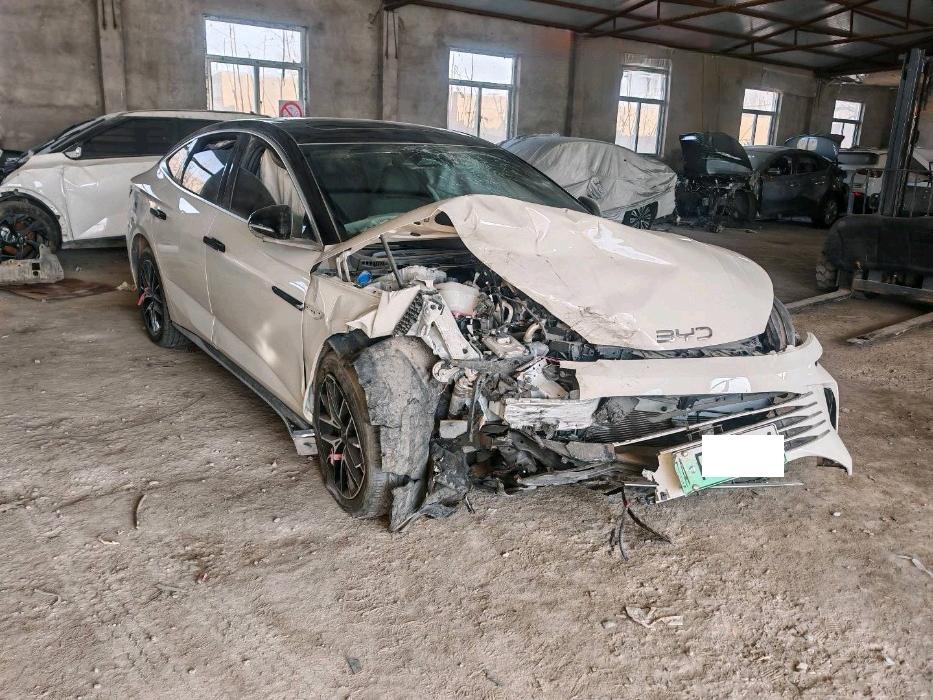 沈阳市24年比亚迪海豹8