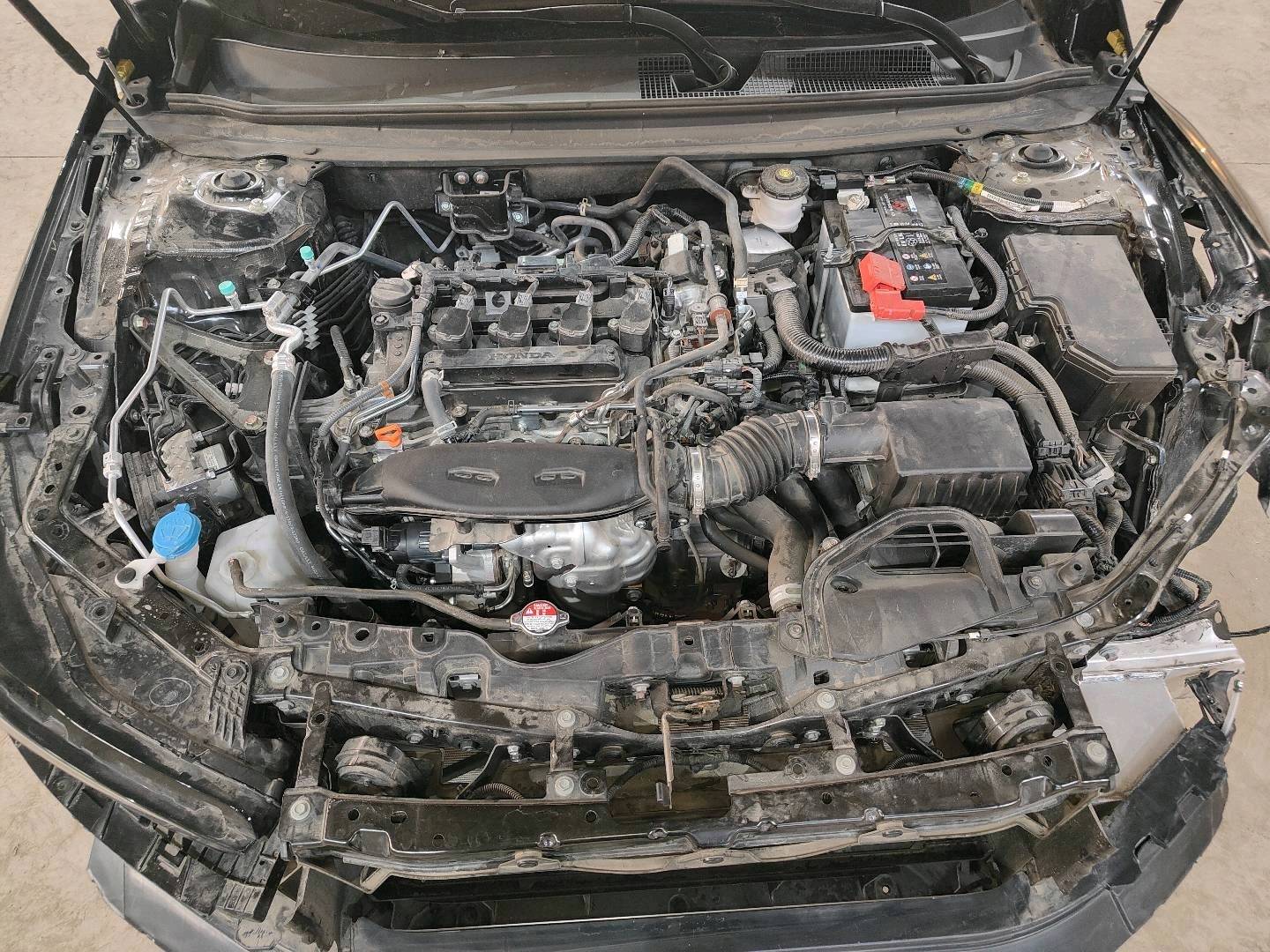 石家庄市24年本田雅阁8