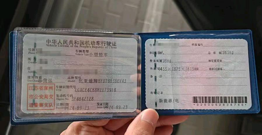 枣庄市24年比亚迪元8