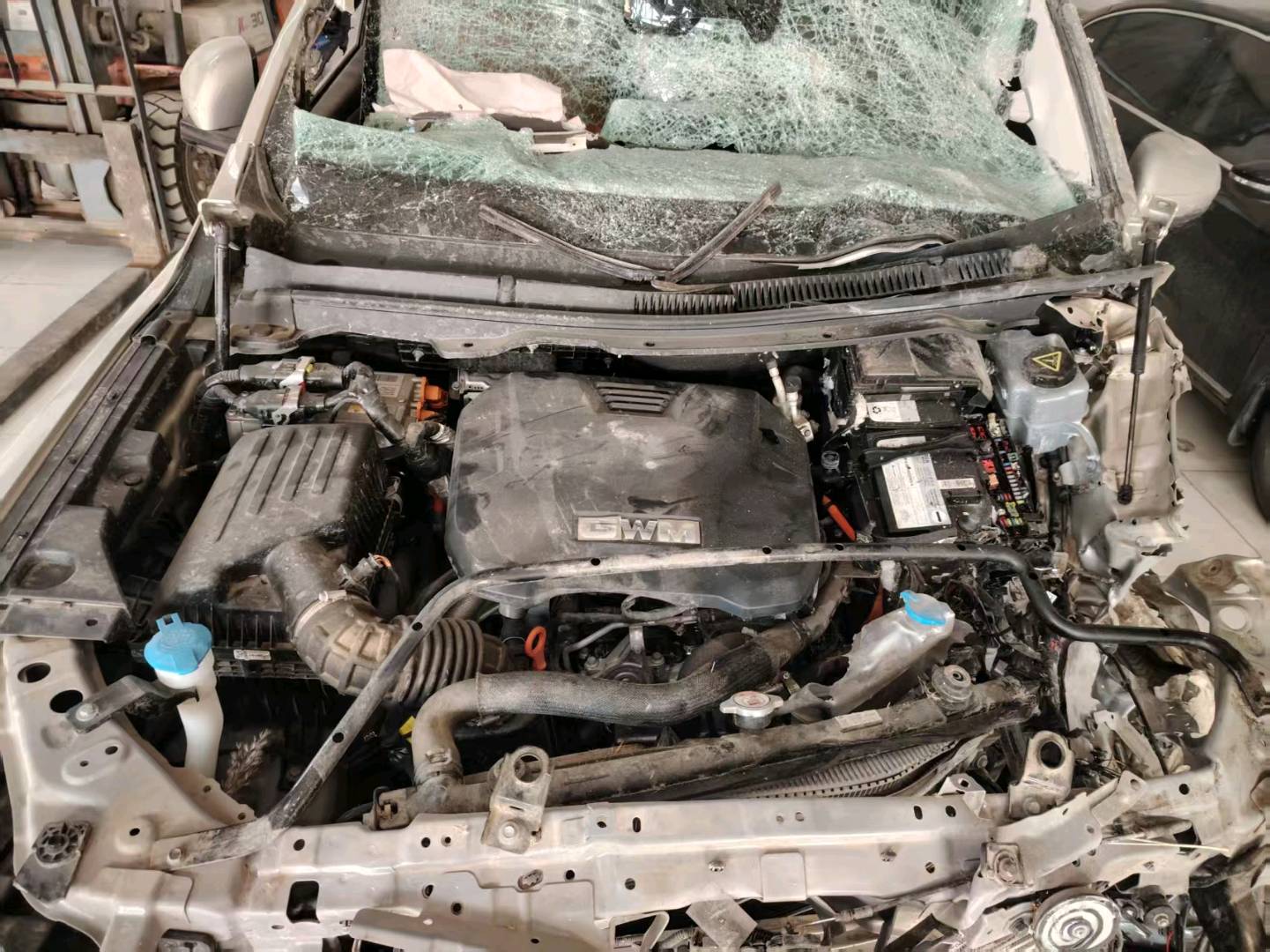 济南市23年长城坦克14