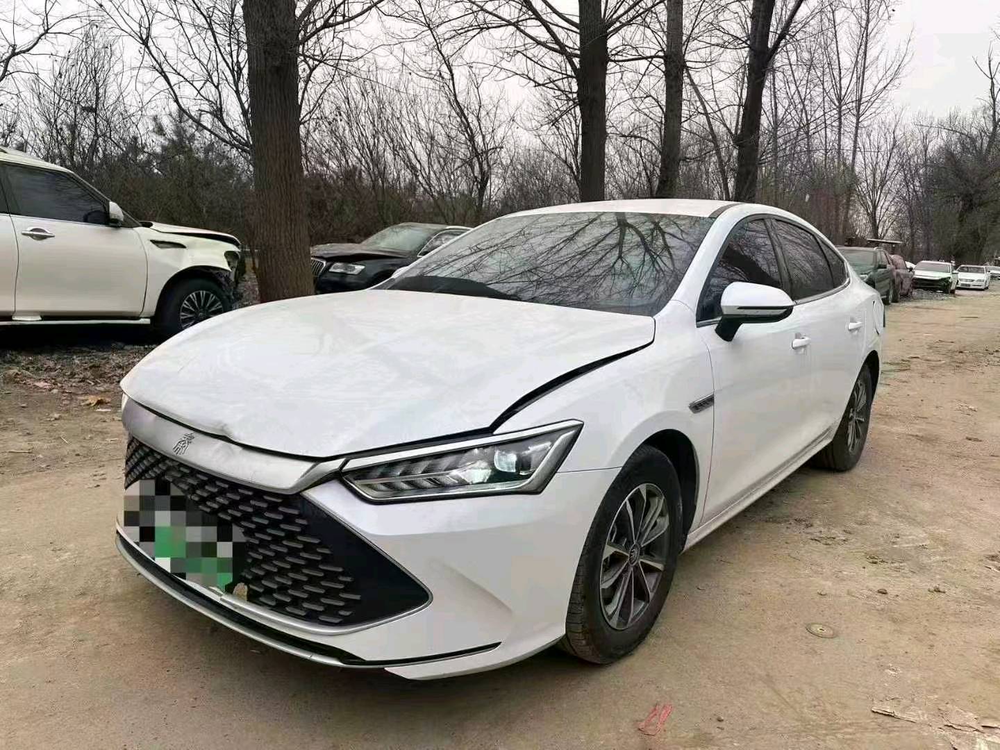 北京24年比亚迪秦PLUS