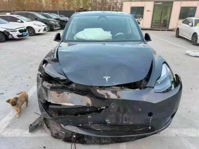 郑州市24年特斯拉MODEL Y