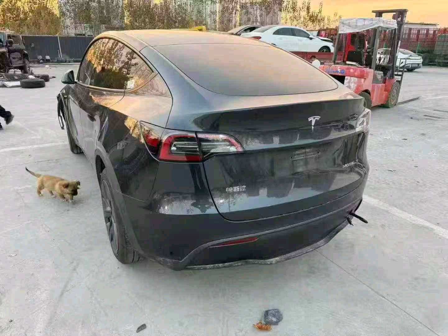 郑州市24年特斯拉MODEL Y5