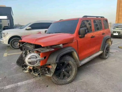 乌鲁木齐市22年长城坦克