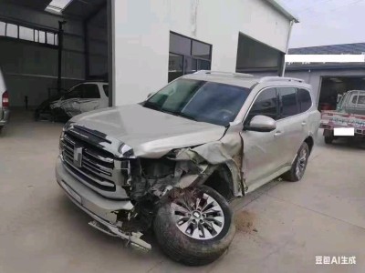 兰州市24年长城坦克