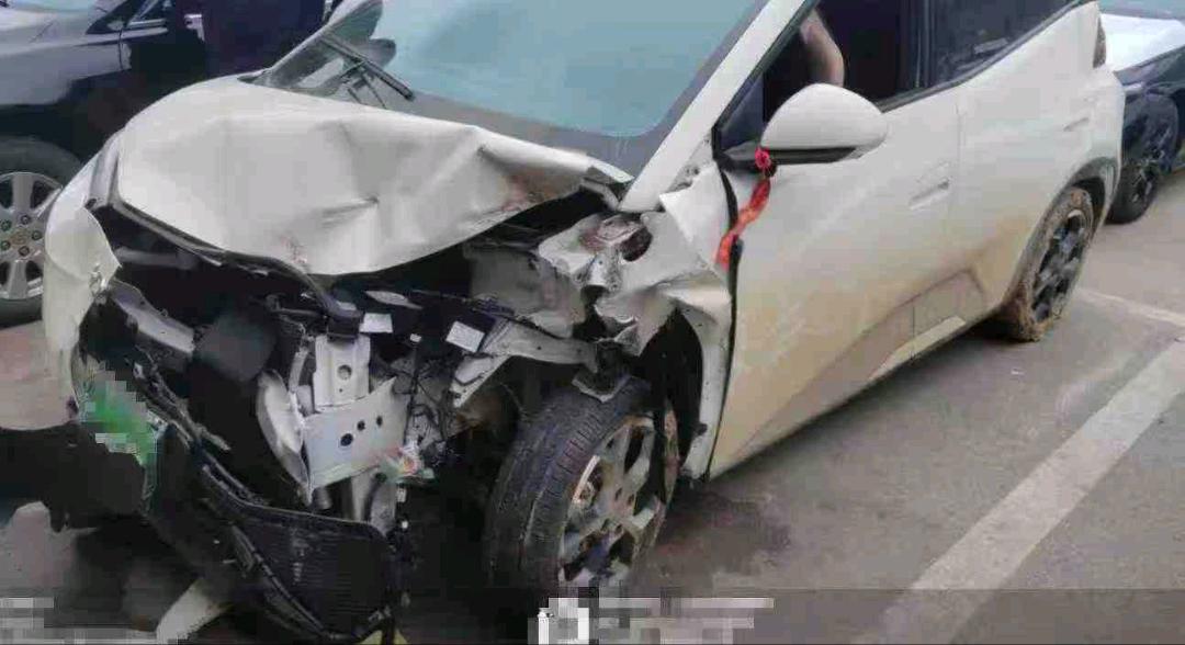 岳阳市25年比亚迪海鸥