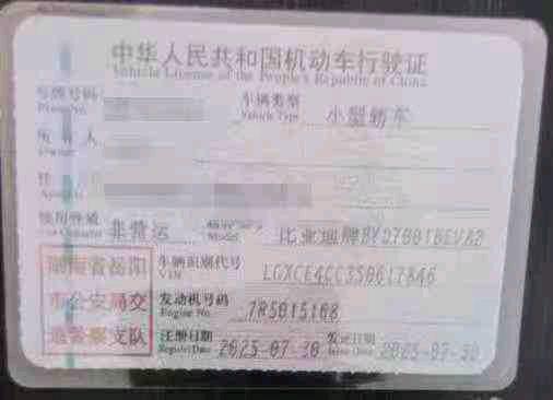 岳阳市25年比亚迪海鸥7